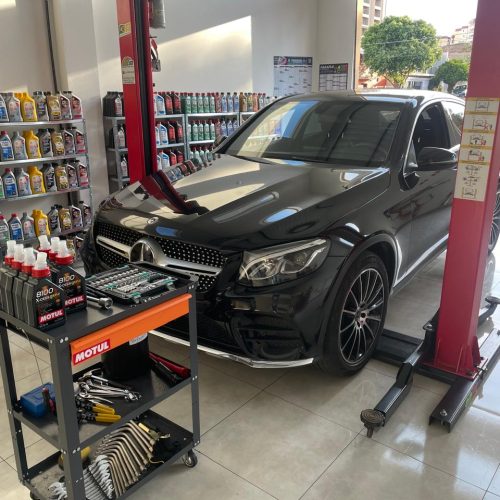 WhatsApp Image 2026-02-17 at 13.08.25